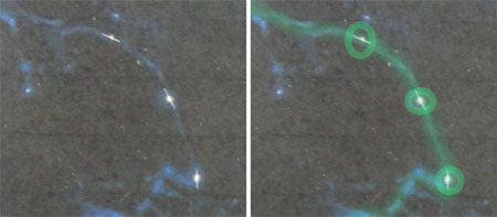 Quasar orientati